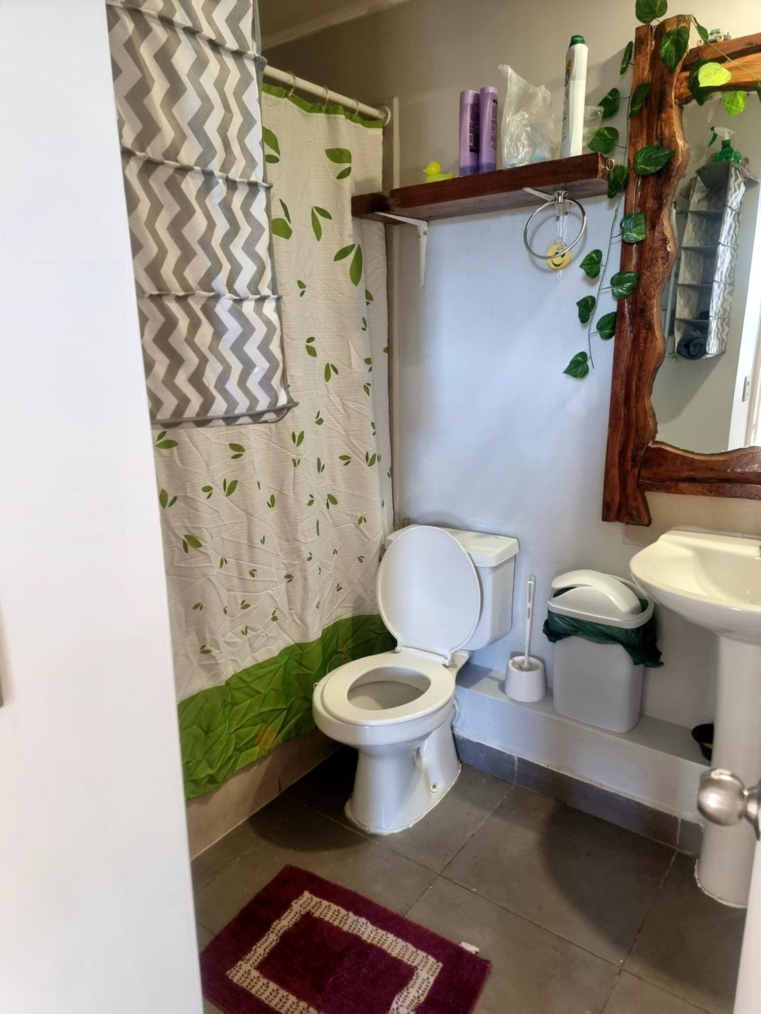Apartamento Arriendo Departamento Diario Villarrica